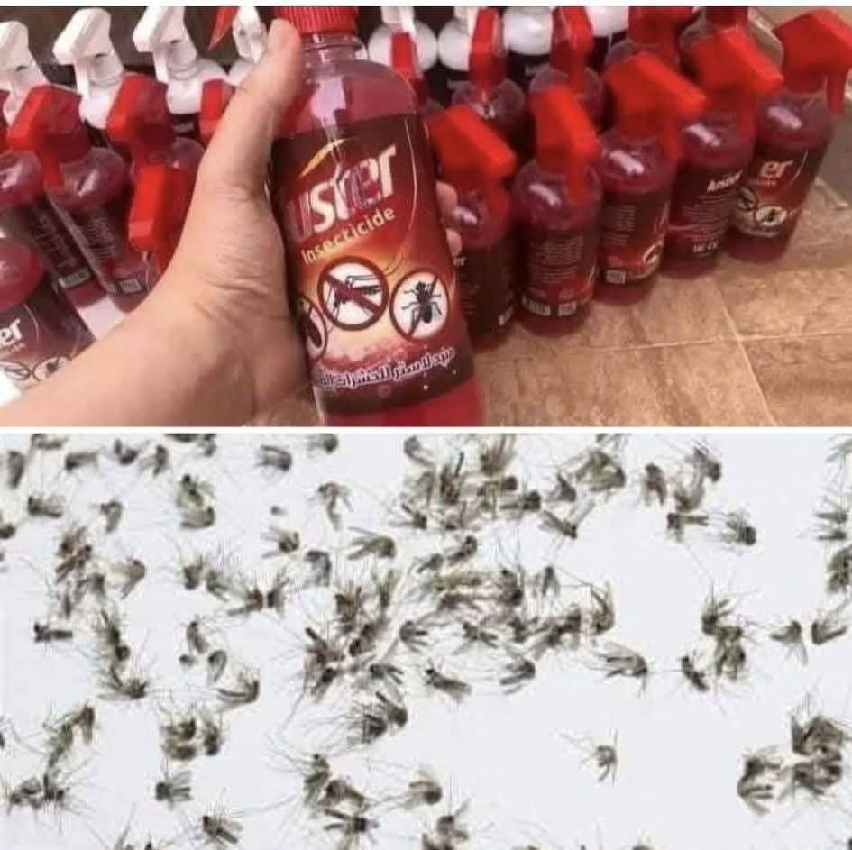 مبيد الناموس و الذباب